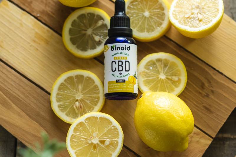 The Rise of CBD: A Comprehensive Guest Post Guide