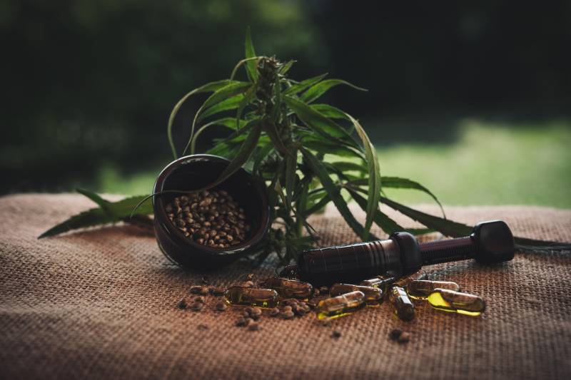 The Difference Between CBD, THC, and Hemp
